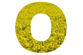 the letter O